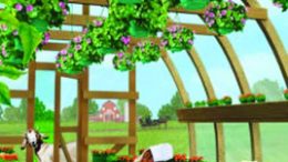 review by amanda flower